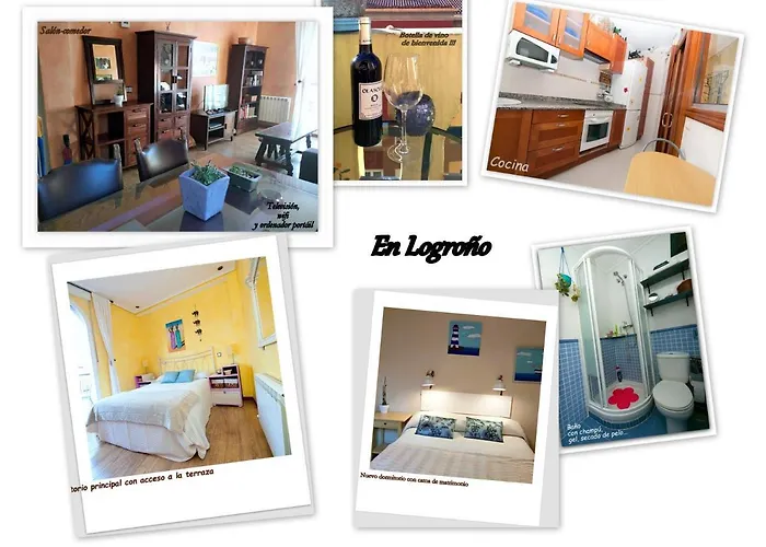 Atico Con Encanto En El Centro De Logrono
